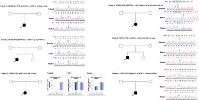 Interpretation of Autosomal Recessive Kidney Diseases With “Presumed Homozygous” Pathogenic Variants Should Consider Technical Pitfalls